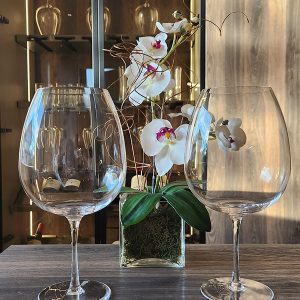 Copa Magnum Glass